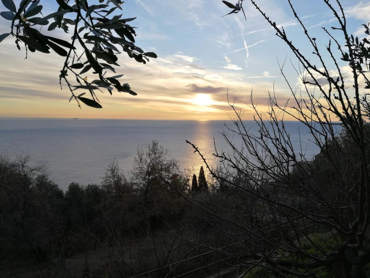 Villa Gio - Terrazza Nel Blu Bergeggi Exterior foto